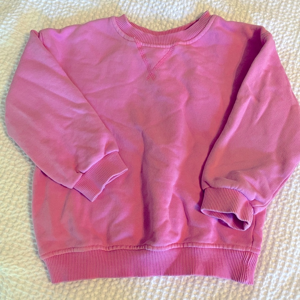 Pink Zara sweatshirt